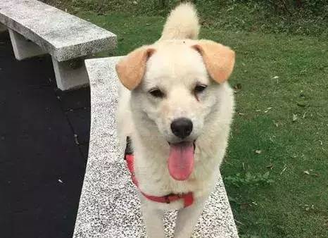 3个原因或导致宫颈糜烂 该如何科学用药‘beat365亚洲体育官方网站’(图1) beat365官网