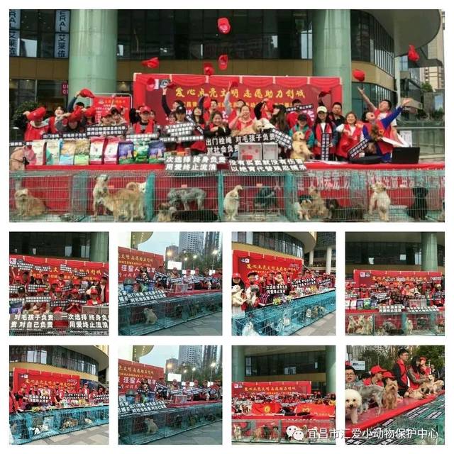 beat365亚洲体育官方网站