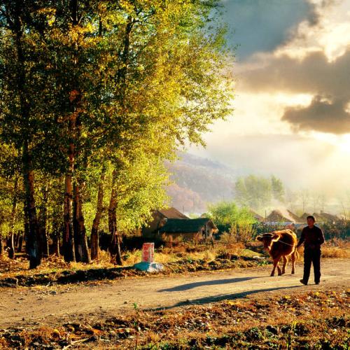 “beat·365”左雾游戏ID暗示Snake ADC马丁要被踢?(图2) beat365亚洲体育官方网站