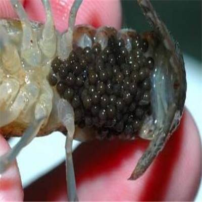 beat365亚洲体育官方网站