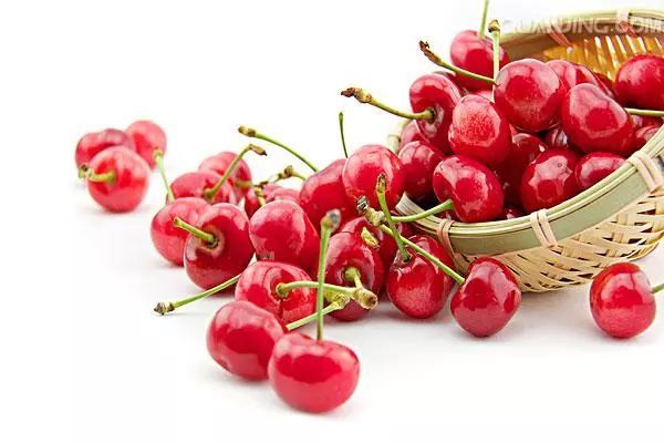 钟山县检察院召开“不忘初心、牢记使命”主题教育检视问题征求意见建议座谈会|beat365亚洲体育官方网站(图2) beat365官网