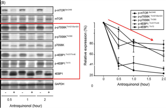 beat365亚洲体育官方网站