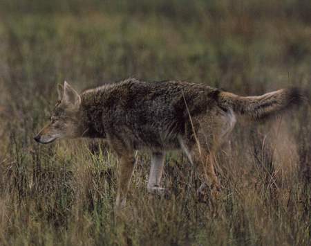 beat365亚洲体育官方网站