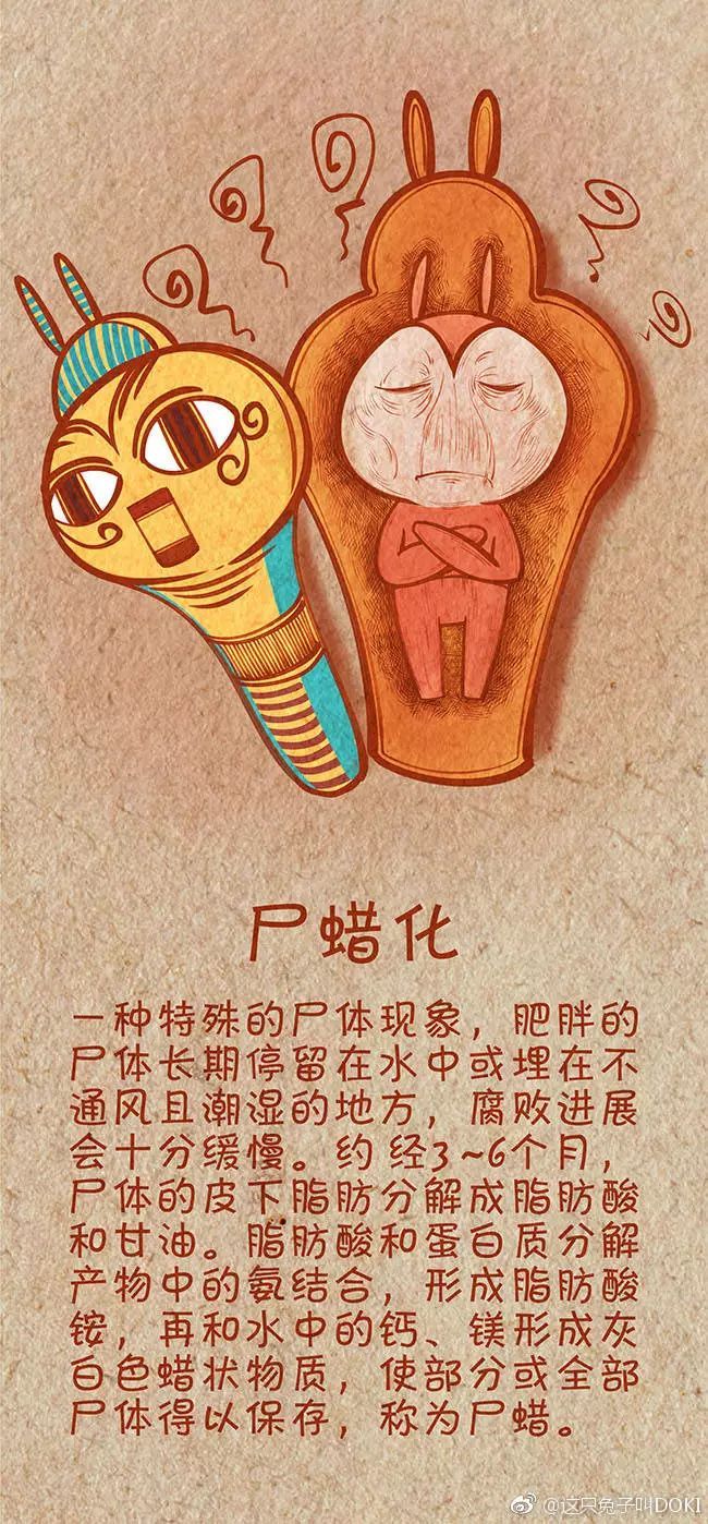 【beat365官网】都说家花不如野花香,情人到底哪里好(图2) beat365官网