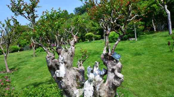 因发现一例疑似新冠病例 LEC赛区紧急停赛【beat365官网】