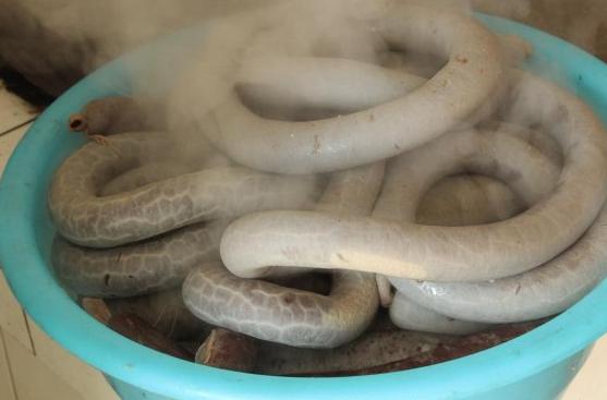 beat365亚洲体育官方网站|血手幽灵天命杯：最后一战V5和17谁能笑到最后？