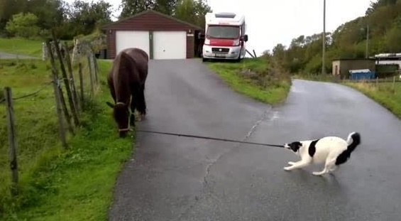 ‘beat·365’绝经前先要知道10件事