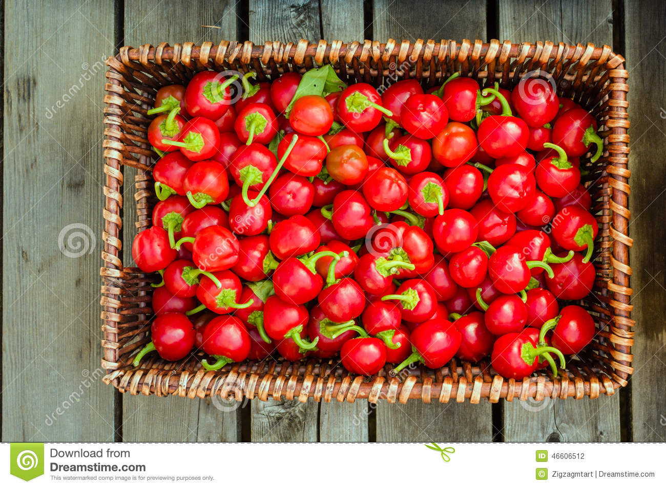 自治区财政厅领导到我县开展脱贫攻坚工作调研_beat365亚洲体育官方网站