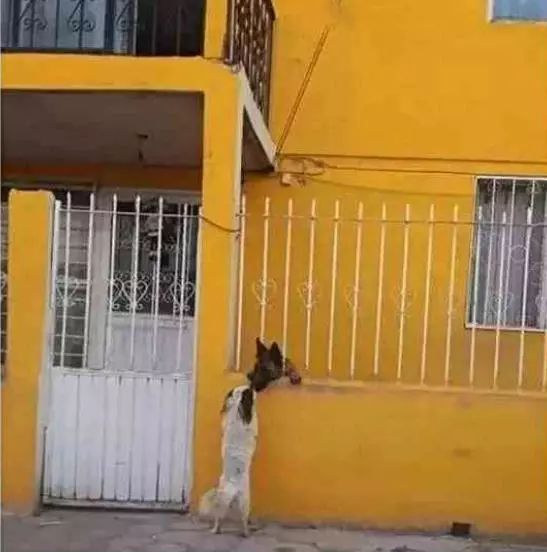 beat365亚洲体育官方网站