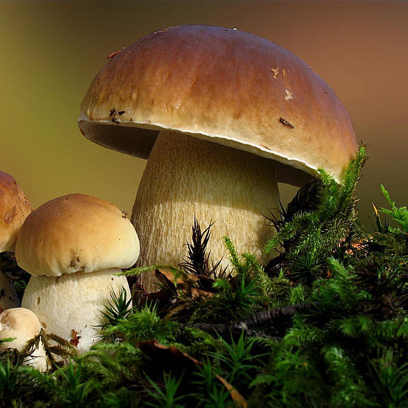 beat365亚洲体育官方网站