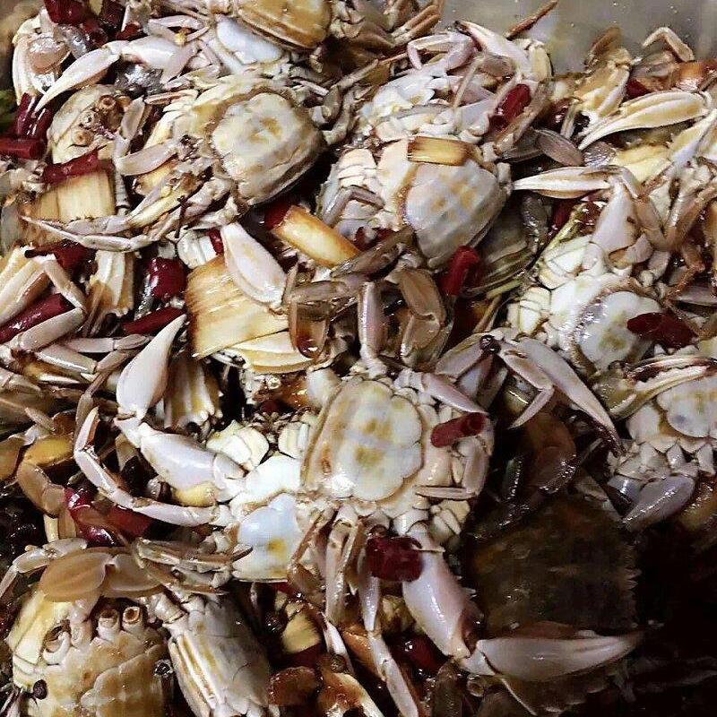 重拾剑戟,再战沙场《全面战争:竞技场》不限名额测试火爆开启-beat365官网(图3) beat·365