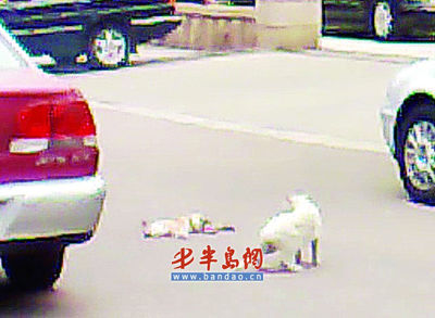 beat365亚洲体育官方网站