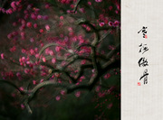 SSAB在天津查获20吨Hardox悍达假板-beat·365(图2) beat·365