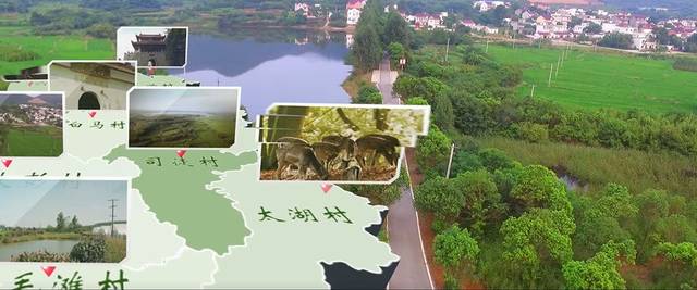 开展禁毒宣传进校园活动|beat365亚洲体育官方网站(图3) beat365官网