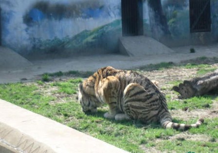 
影戏《夺冠》票房破4亿 影戏宣传海报文案紧抓人心【beat·365】