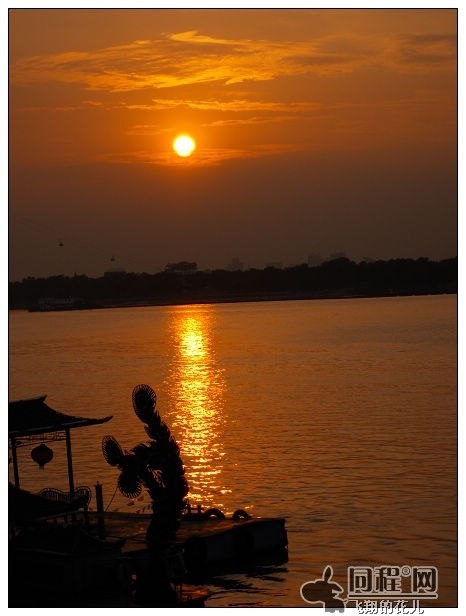 beat365官网:孤影solo遇到最得意玩家,单凭两字就让孤影忍不住点进主页,不愧是国服(图2) beat·365