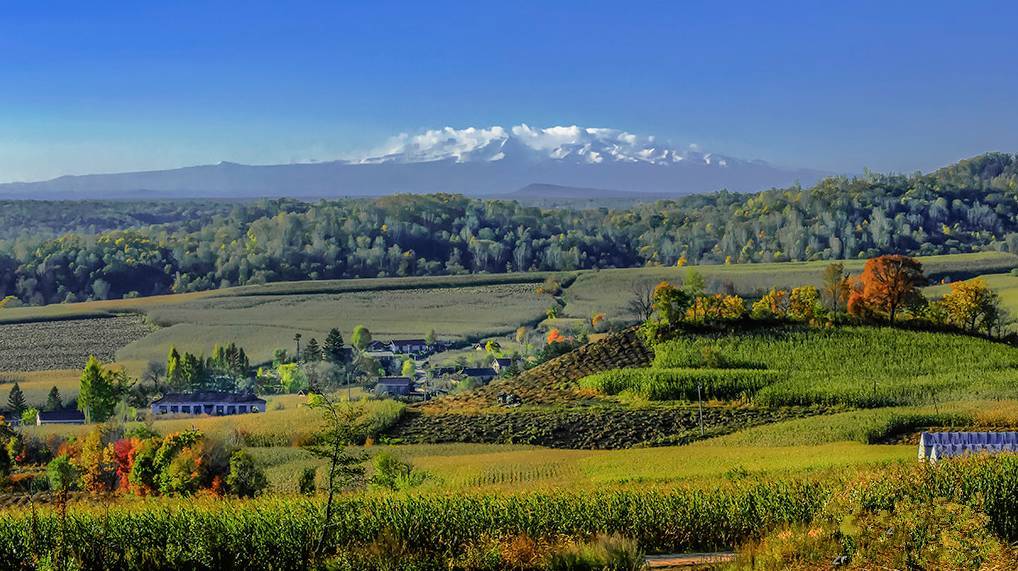 beat365亚洲体育官方网站