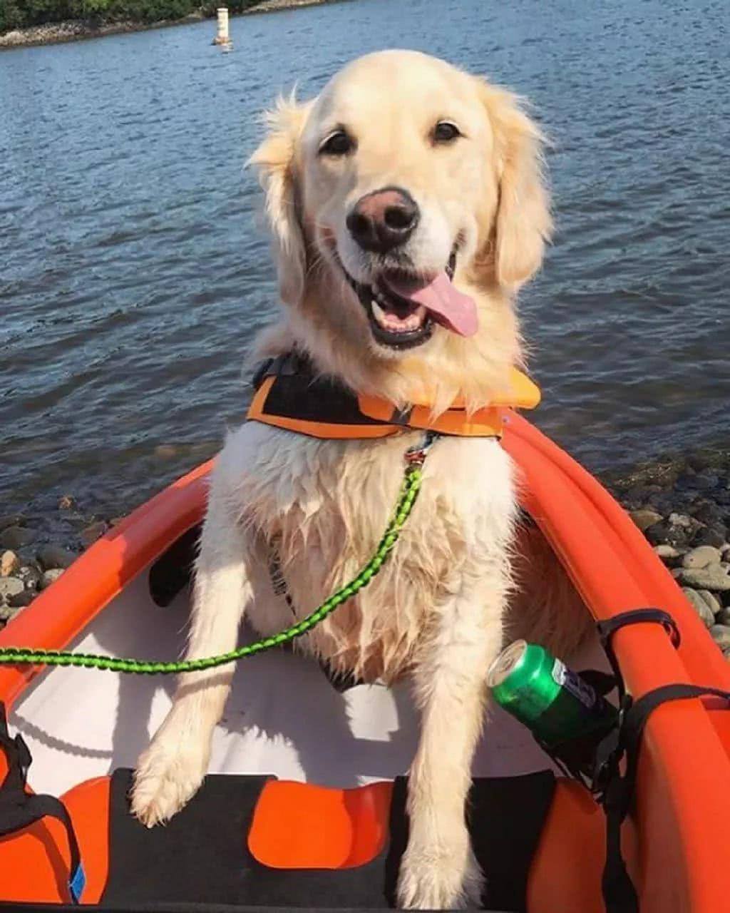 beat365官网-公安镇多措并举 助力打赢疫情防控阻击战