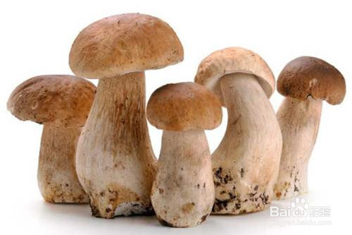 子宫内膜癌成妇科第一癌 胖女子最易中招-beat·365