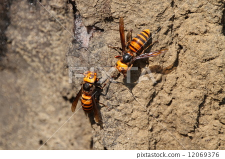 beat365亚洲体育官方网站