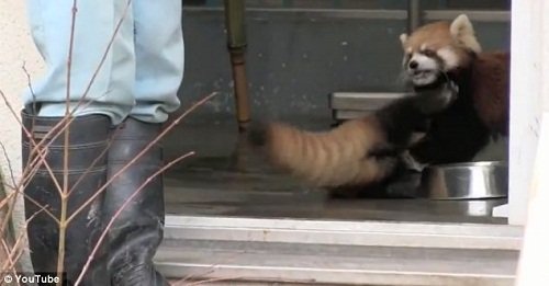 保护乳房 很多面料内衣不能穿“beat365官网”