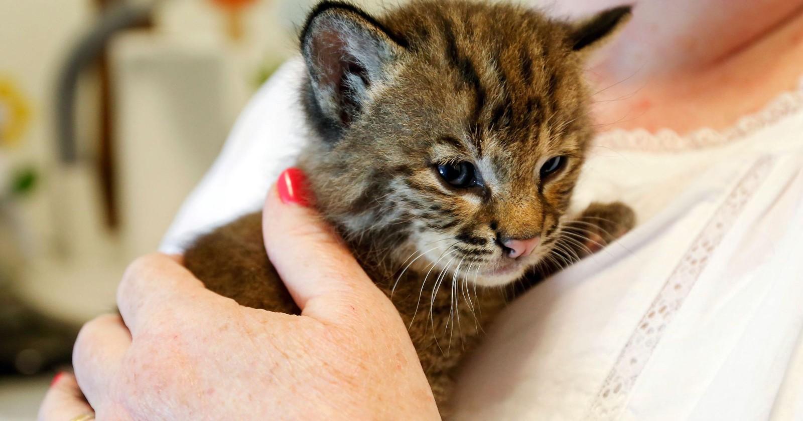 beat365亚洲体育官方网站