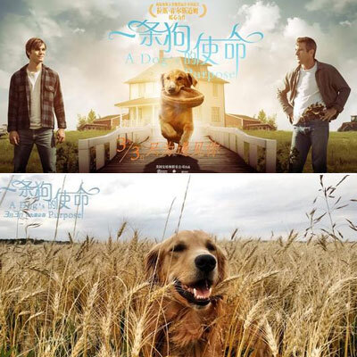 beat365亚洲体育官方网站