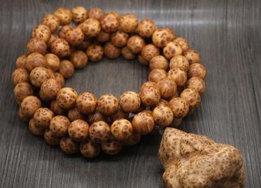 男人为什么迷恋女性乳房‘beat365官网’(图3) beat365官网