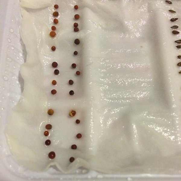 外阴瘙痒、糜烂,性病还是湿疹_beat365官网(图2) beat·365