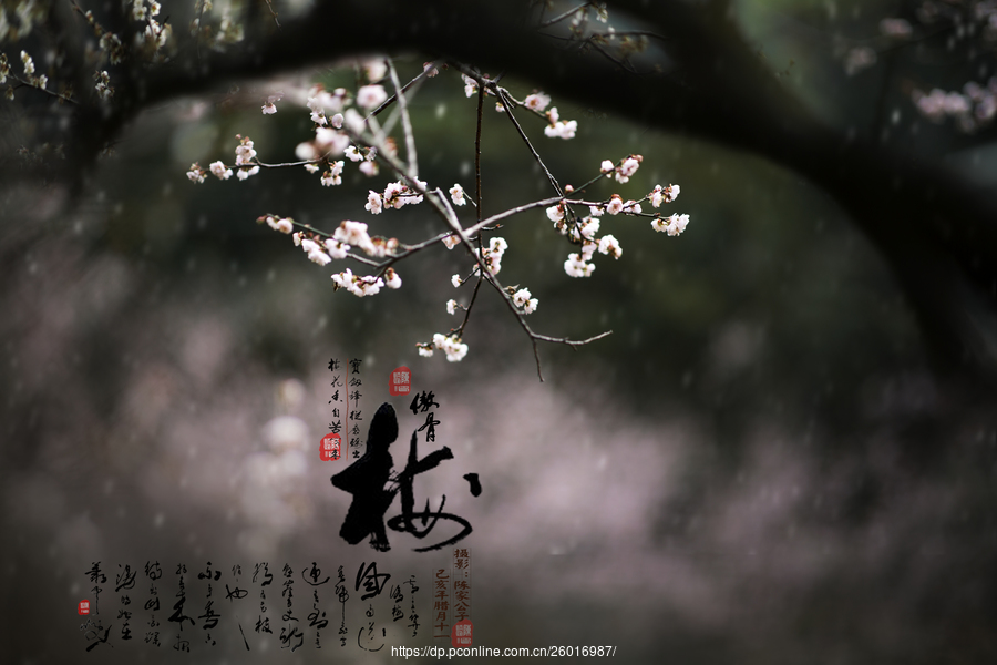 beat365官网|圣彼得堡国际法律论坛诚邀全球律师参加(图2) beat365官网