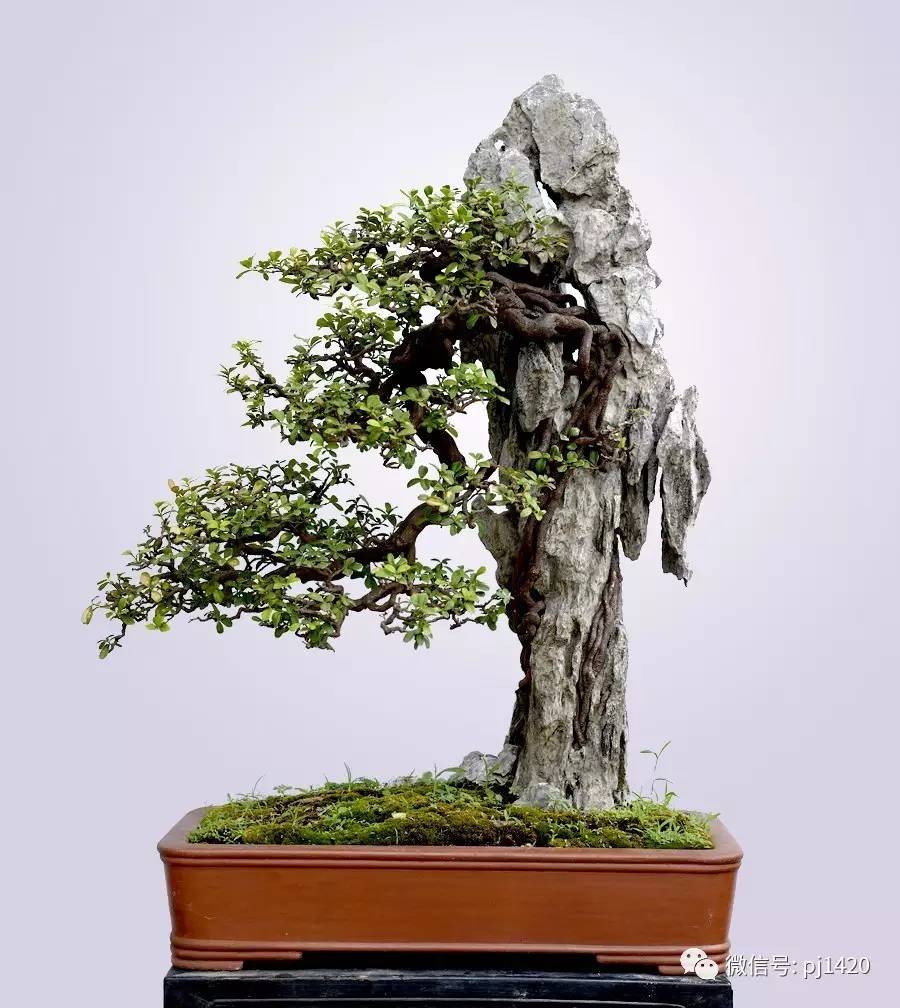 beat365亚洲体育官方网站