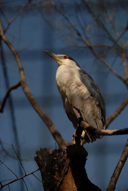 beat365亚洲体育官方网站