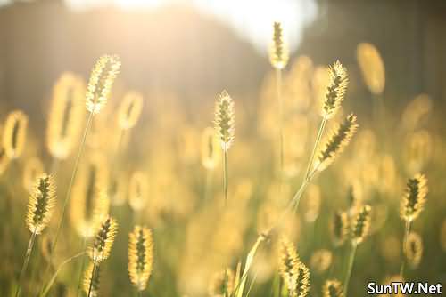 英雄联盟148位英雄中评选制作最失败的英雄，他竟然上榜了_beat365亚洲体育官方网站