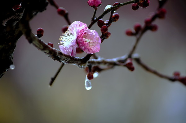 beat·365:钟山县检察院首次采用“全景式证据 多媒体举证”出庭公诉(图4) beat365官网